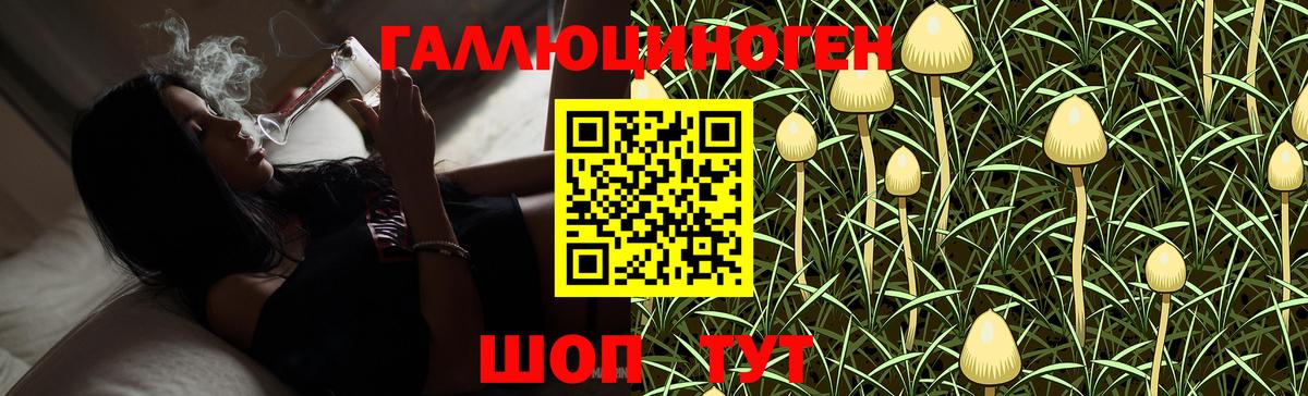Липецк  Псилоцибиновые грибы мухоморы  Галлюциногенные грибы мухоморы  Вход с VPN 