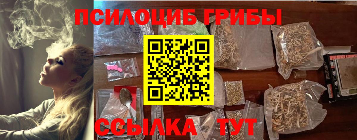 Псилоцибиновые грибы GOLDEN TEACHER Липецк